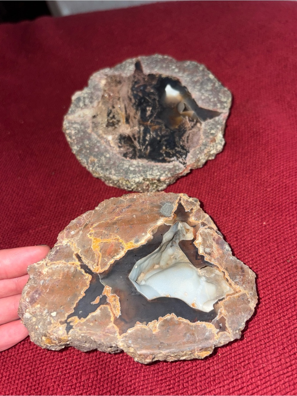 Thunderegg gemstone crystal lot Thunder egg bundle madras Oregon rockhounding